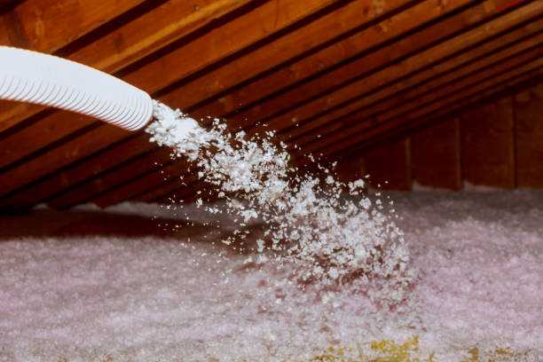 Best Insulation Maintenance and Repair in Edgerton, OH